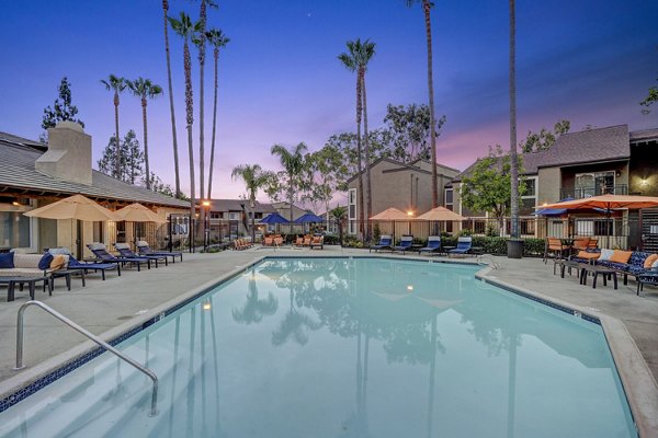 Sunlit outdoor pool at Park Pointe Apartments offers a luxurious retreat for residents with comfortable lounge seating and lush landscaping