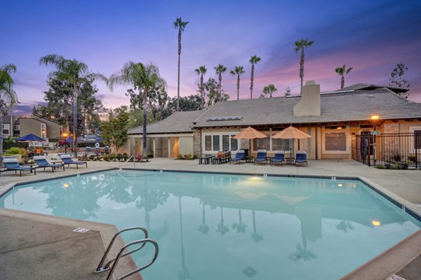 pool at Park Pointe Apartments