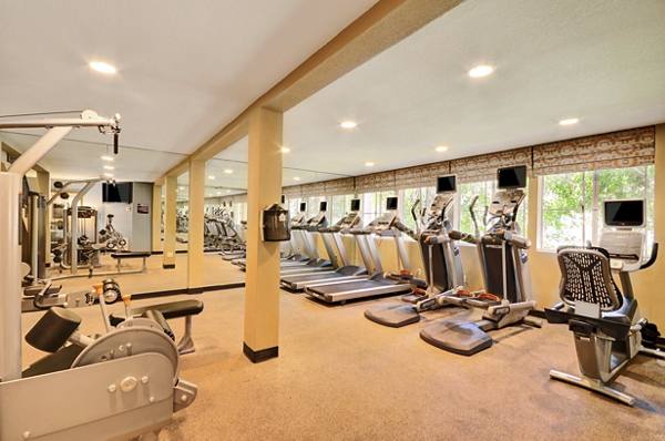 fitness center at Rising Glen Apartments