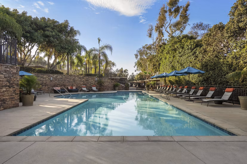 pool at Ascend2300 Apartments 
