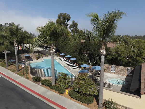 pool at Ascend2300 Apartments 