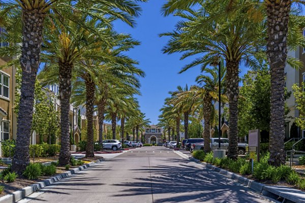 Rosina Vista: Elegant Mediterranean-style luxury apartments in Chula Vista