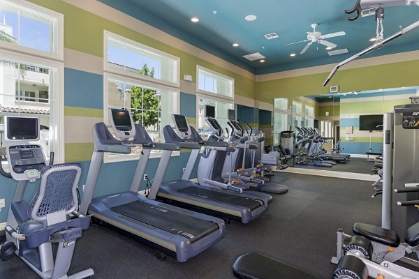 Modern fitness center with state-of-the-art equipment at Rosina Vista Apartments with ample space for workouts and wellness activities