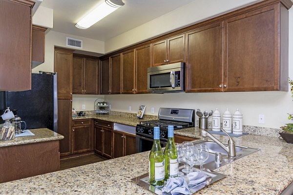 Modern kitchen with stainless steel appliances at Rosina Vista Apartments