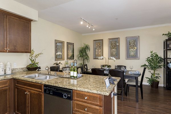 Modern kitchen with stainless steel appliances at Rosina Vista Apartments, offering luxury living for residents