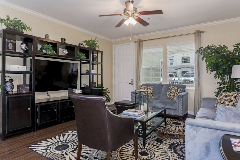 Modern living room with elegant furnishings at Rosina Vista Apartments, featuring luxury amenities and contemporary design