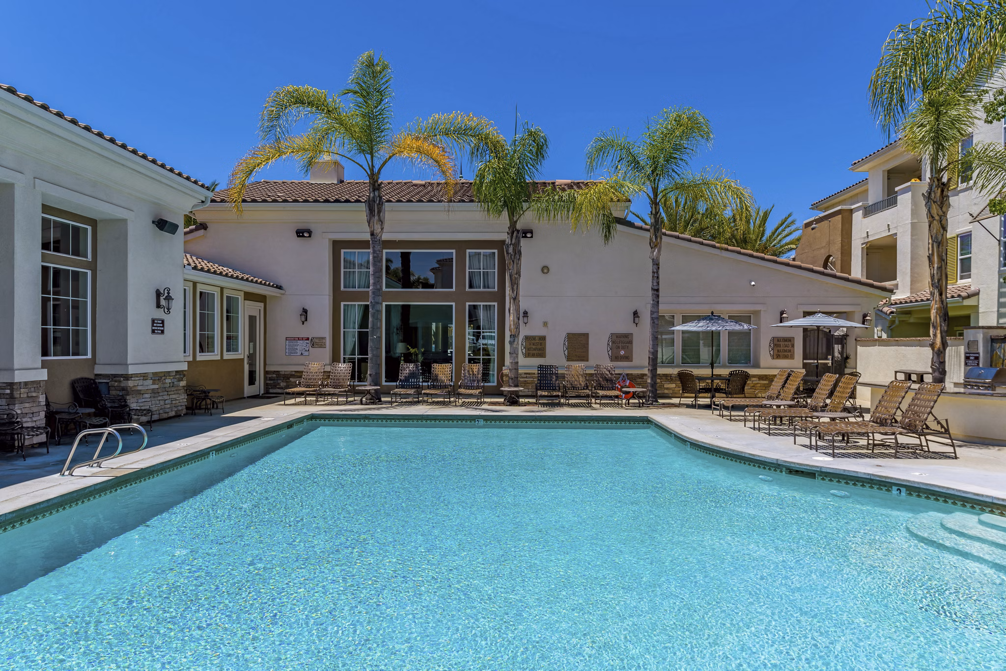 Relaxing outdoor pool with palm tree views at Rosina Vista Apartments, luxury living in the heart of Chula Vista