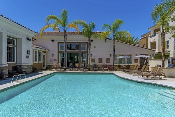 Relaxing outdoor pool with palm tree views at Rosina Vista Apartments, luxury living in the heart of Chula Vista