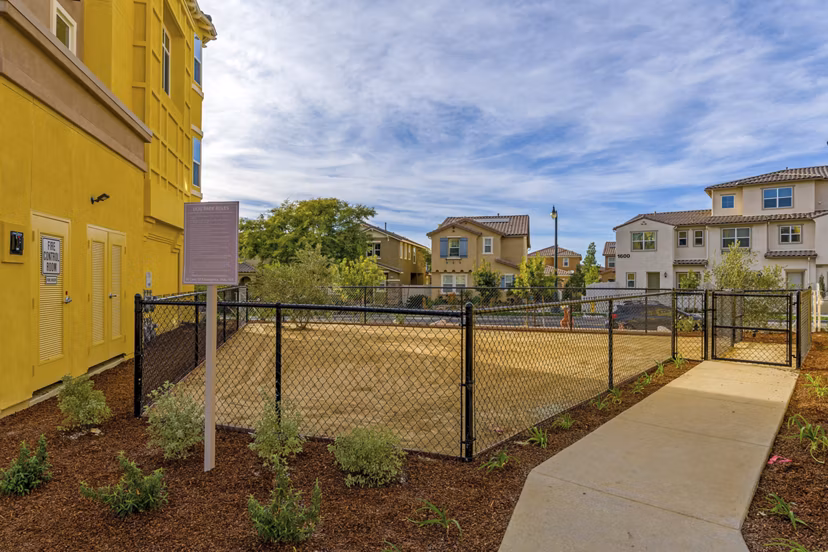 Dog-friendly park featuring agility equipment at Salerno Apartments