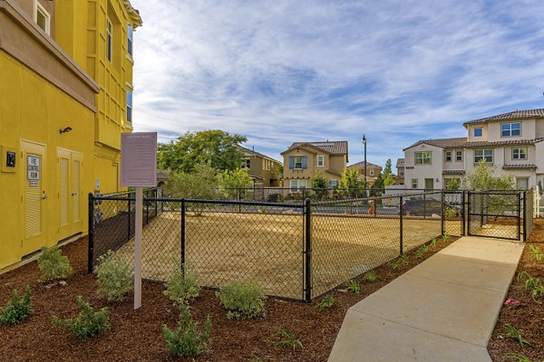 dog park at Salerno Apartments