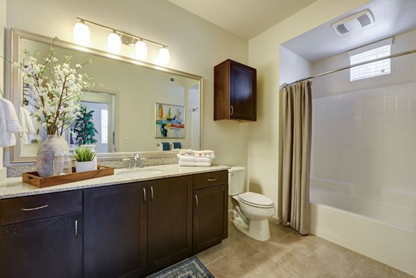 Luxury bathroom with marble countertops and modern fixtures at Seta Apartments, a Greystar luxury property in a prime location