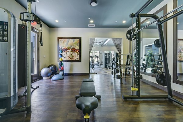 State-of-the-art fitness center with modern equipment at Seta Apartments, offering a premier workout experience for residents