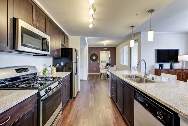 Modern kitchen with stainless steel appliances at Seta Apartments in Luxury Greystar Community