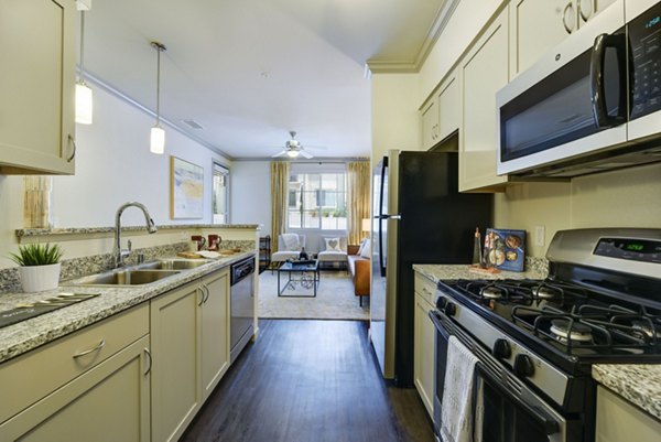 Modern kitchen with stainless steel appliances at Seta Apartments, offering a luxurious living experience