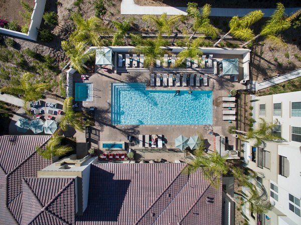 Luxurious pool area at Seta Apartments with lounge seating, lush landscaping