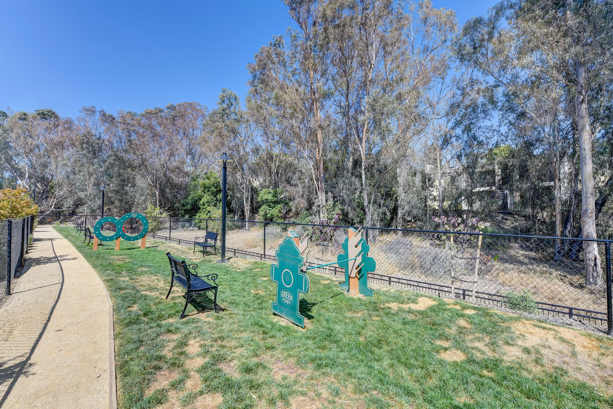 Dog-friendly park with agility equipment at Seta Apartments, offering pet-friendly living for residents