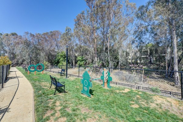 Dog-friendly park with agility equipment at Seta Apartments, offering pet-friendly living for residents