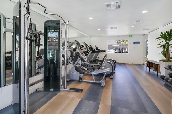 Fitness center with modern equipment at Softwind Point Apartments