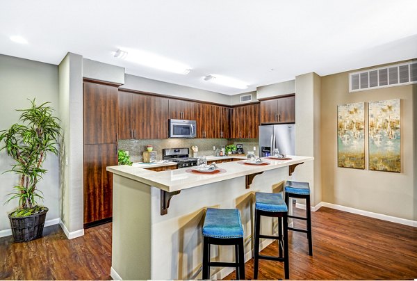 Modern kitchen with sleek countertops at Tavera Apartments, luxury living by Greystar in San Diego