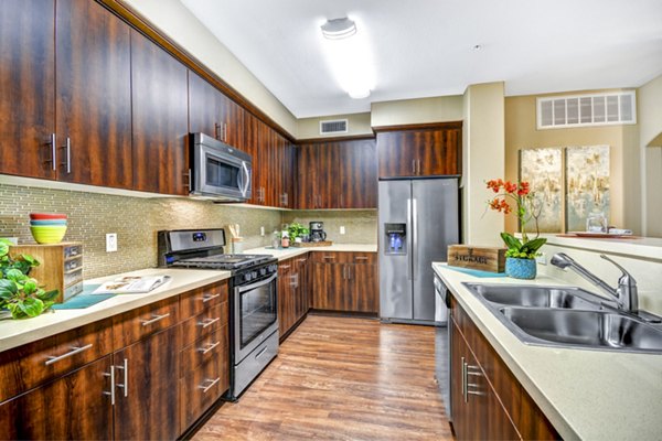 kitchen at Tavera Apartments