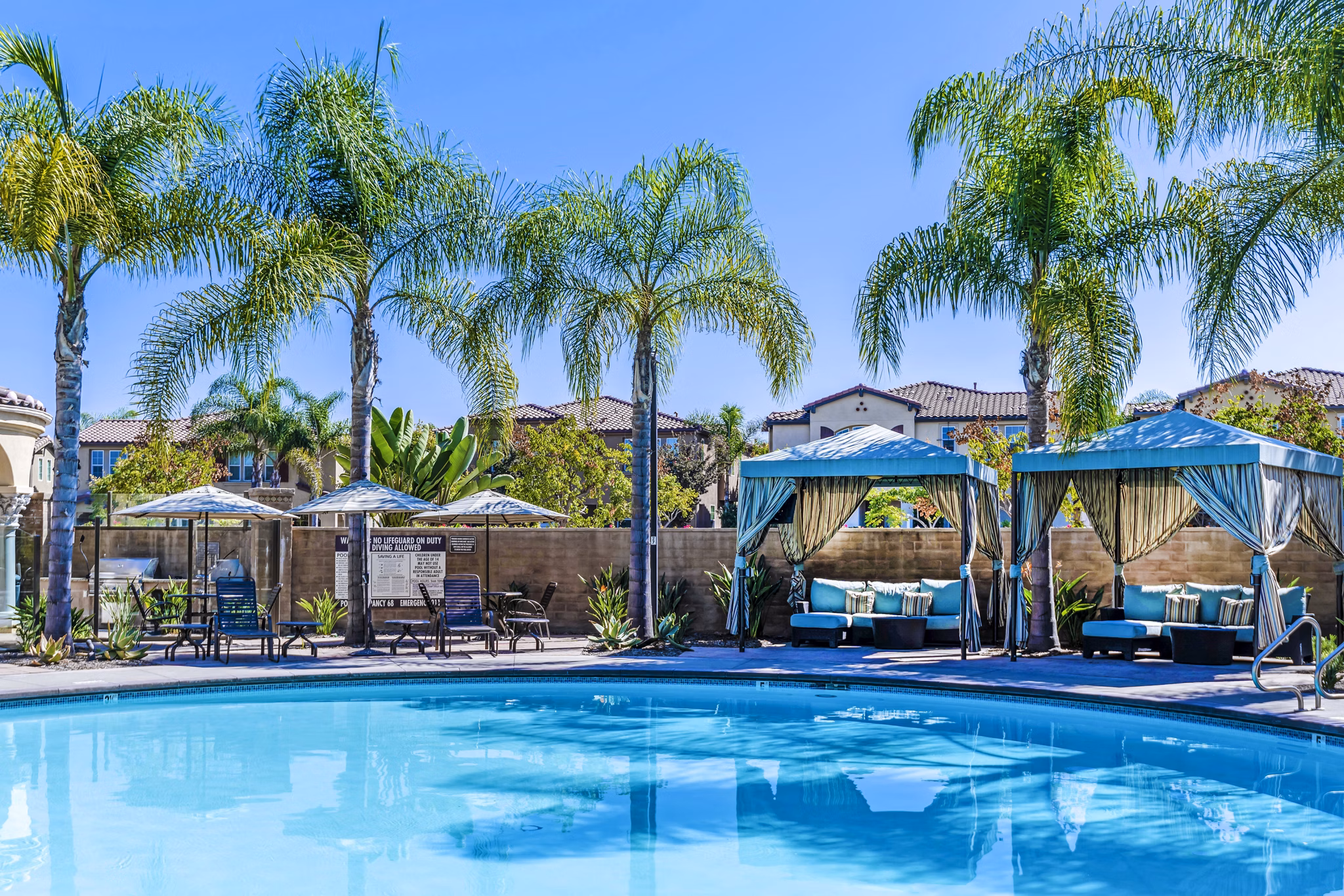 Resort-style pool with lounge areas at Tavera Apartments