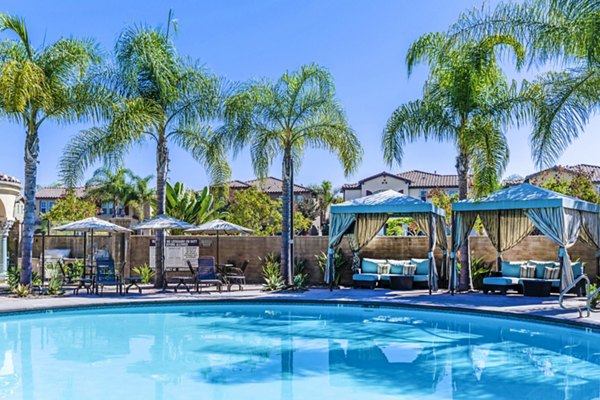 Resort-style pool with lounge areas at Tavera Apartments