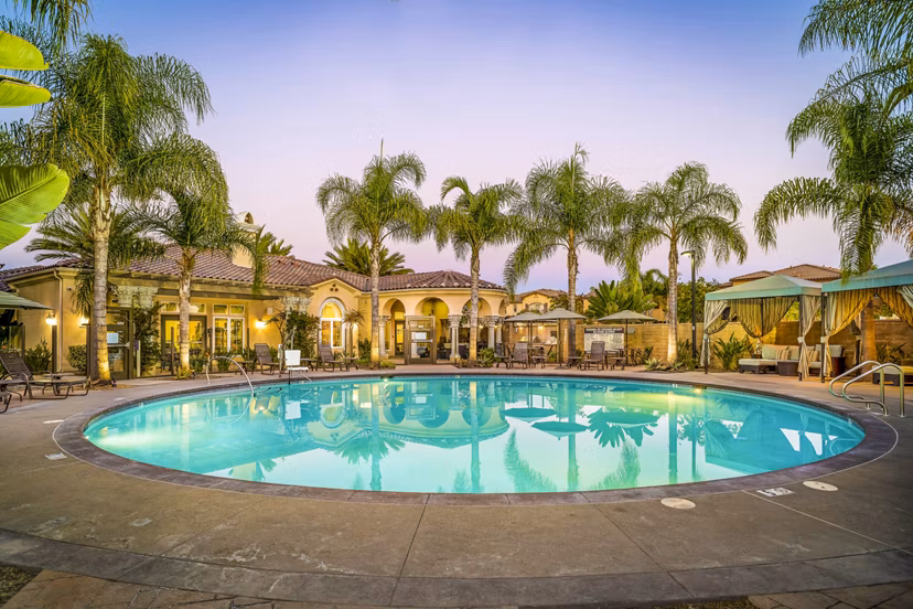 Resort-style pool with loungers at Tavera Apartments, a luxury Greystar community offering relaxing outdoor amenities
