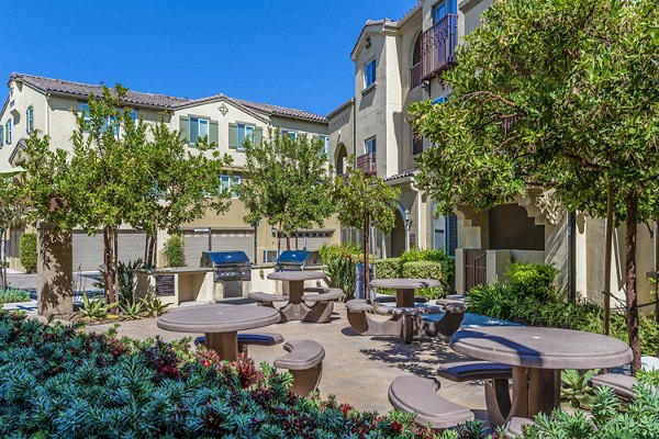 Grill area with modern seating at Tavera Apartments' luxury community courtyard