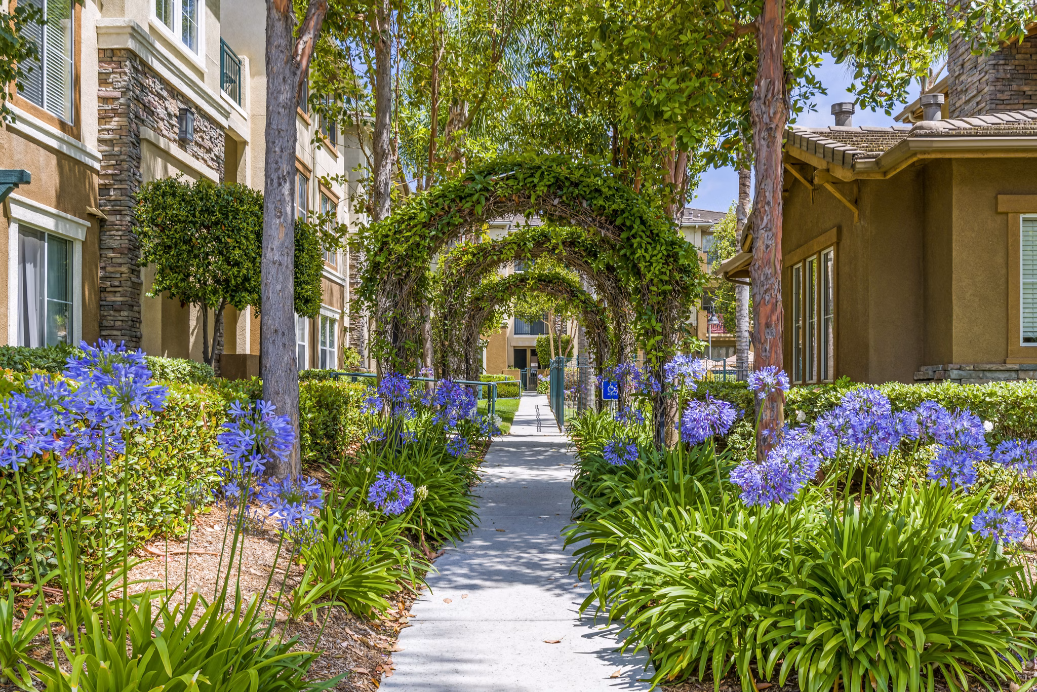 Terra Vista Apartments: Scenic courtyard pathway surrounded by lush greenery