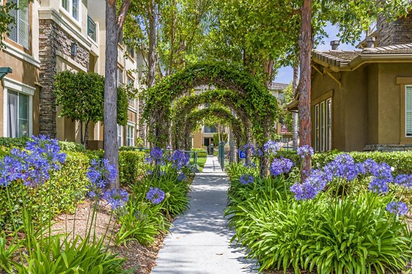 Terra Vista Apartments: Scenic courtyard pathway surrounded by lush greenery