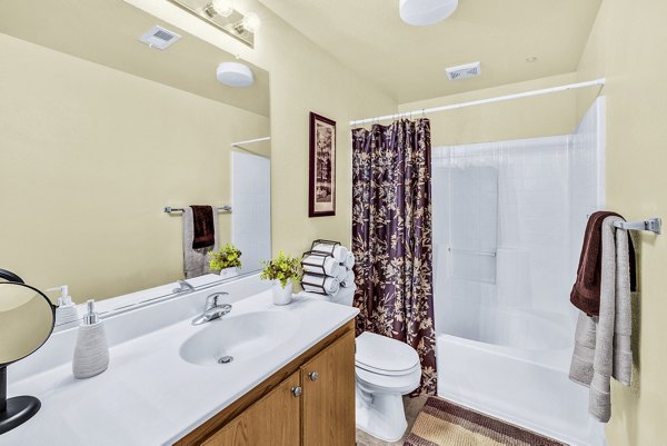 Modern bathroom with sleek fixtures and granite countertops in Terra Vista Apartments, luxury living for Greystar residents