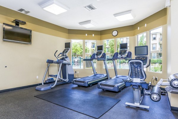 State-of-the-art fitness center with modern equipment at Terra Vista Apartments, ideal for health enthusiasts seeking luxury Greystar living