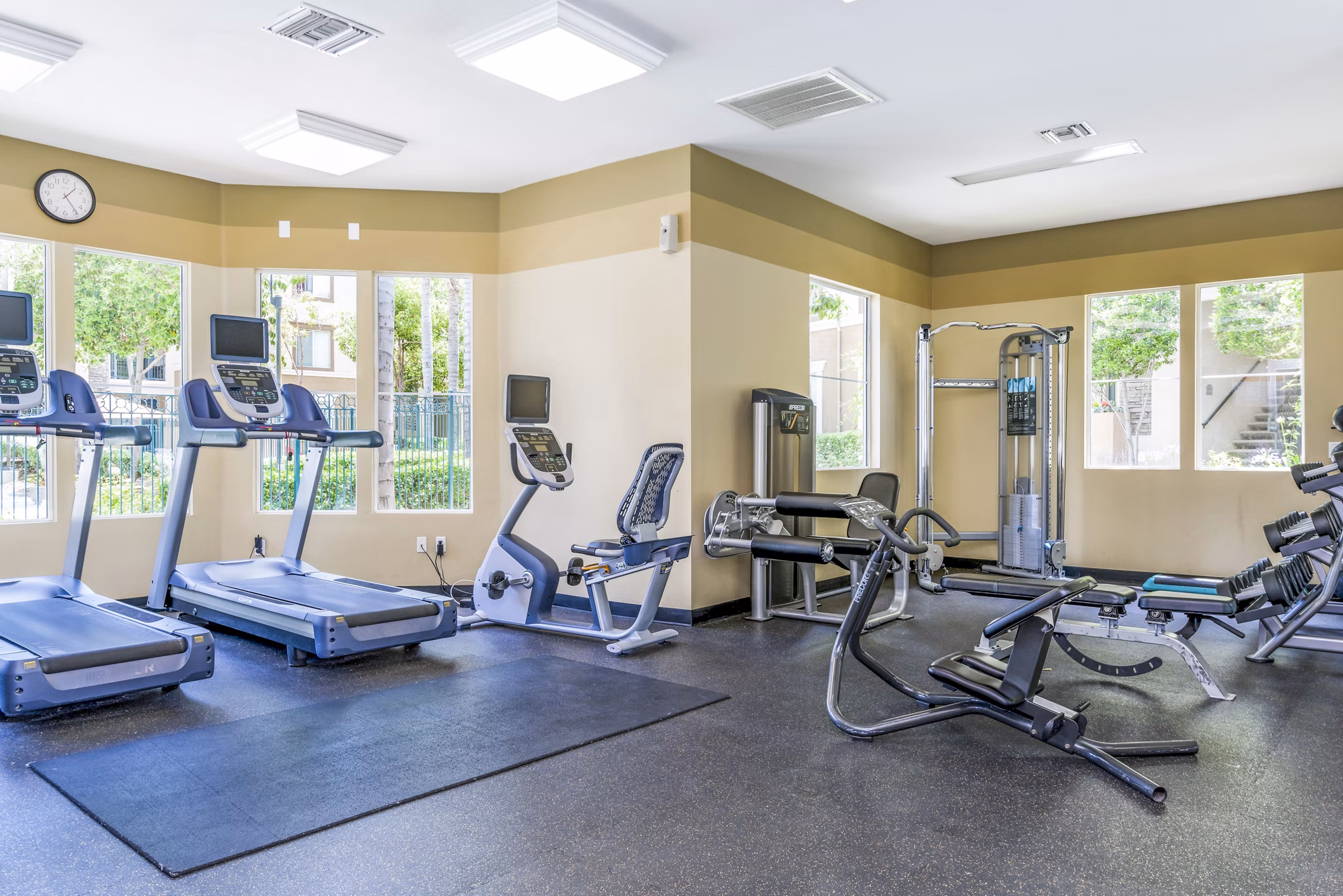 State-of-the-art fitness center with modern equipment at Terra Vista Apartments