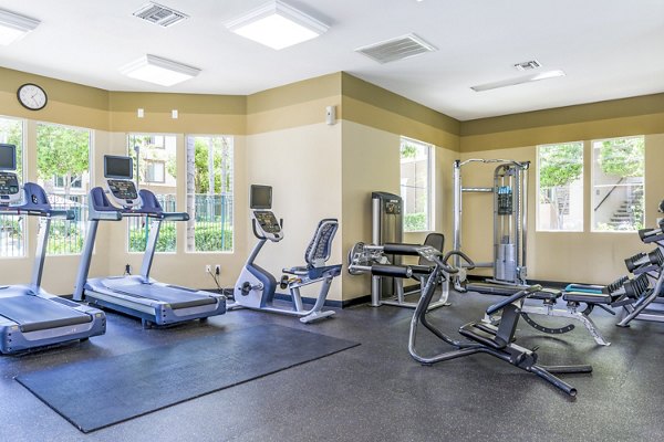 State-of-the-art fitness center with modern equipment at Terra Vista Apartments