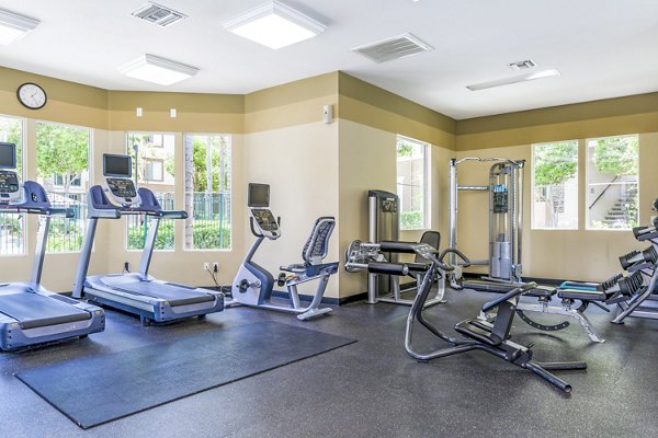 fitness center at Terra Vista Apartments