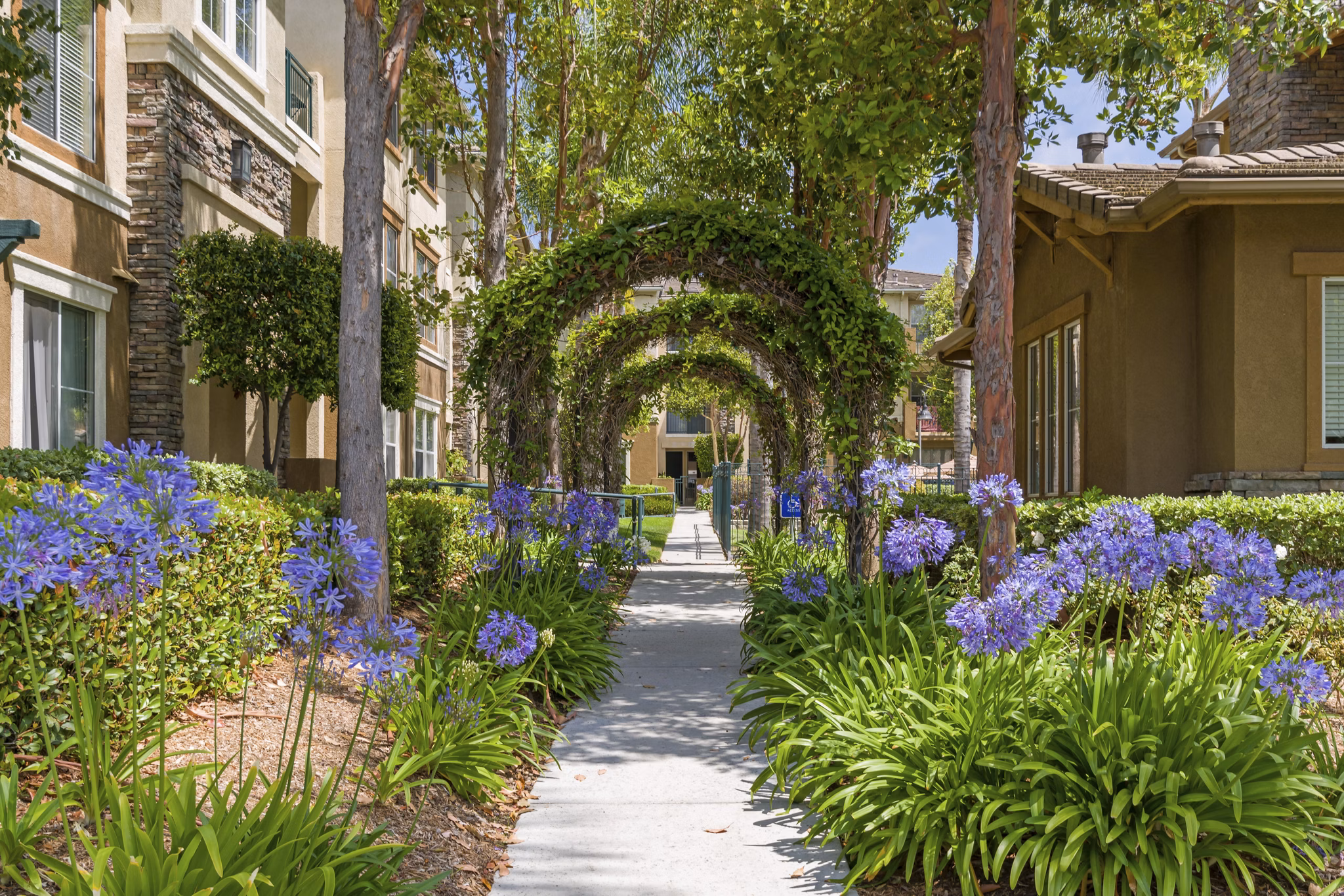patio at Terra Vista Apartments