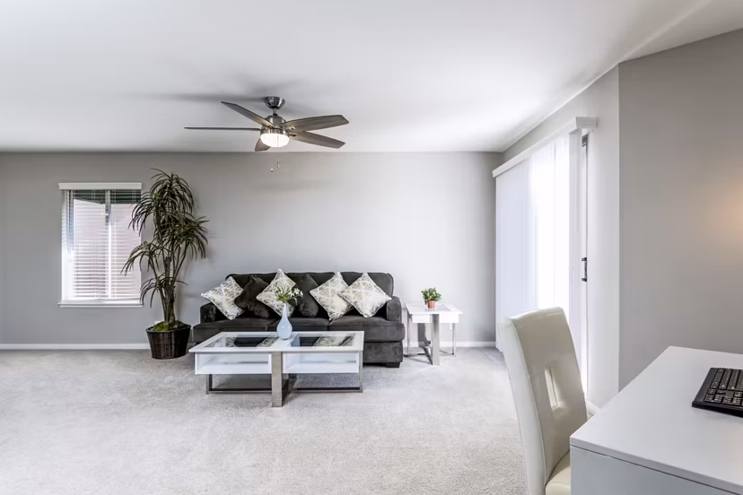 Elegant living room with modern decor and natural light at Village Square Apartments