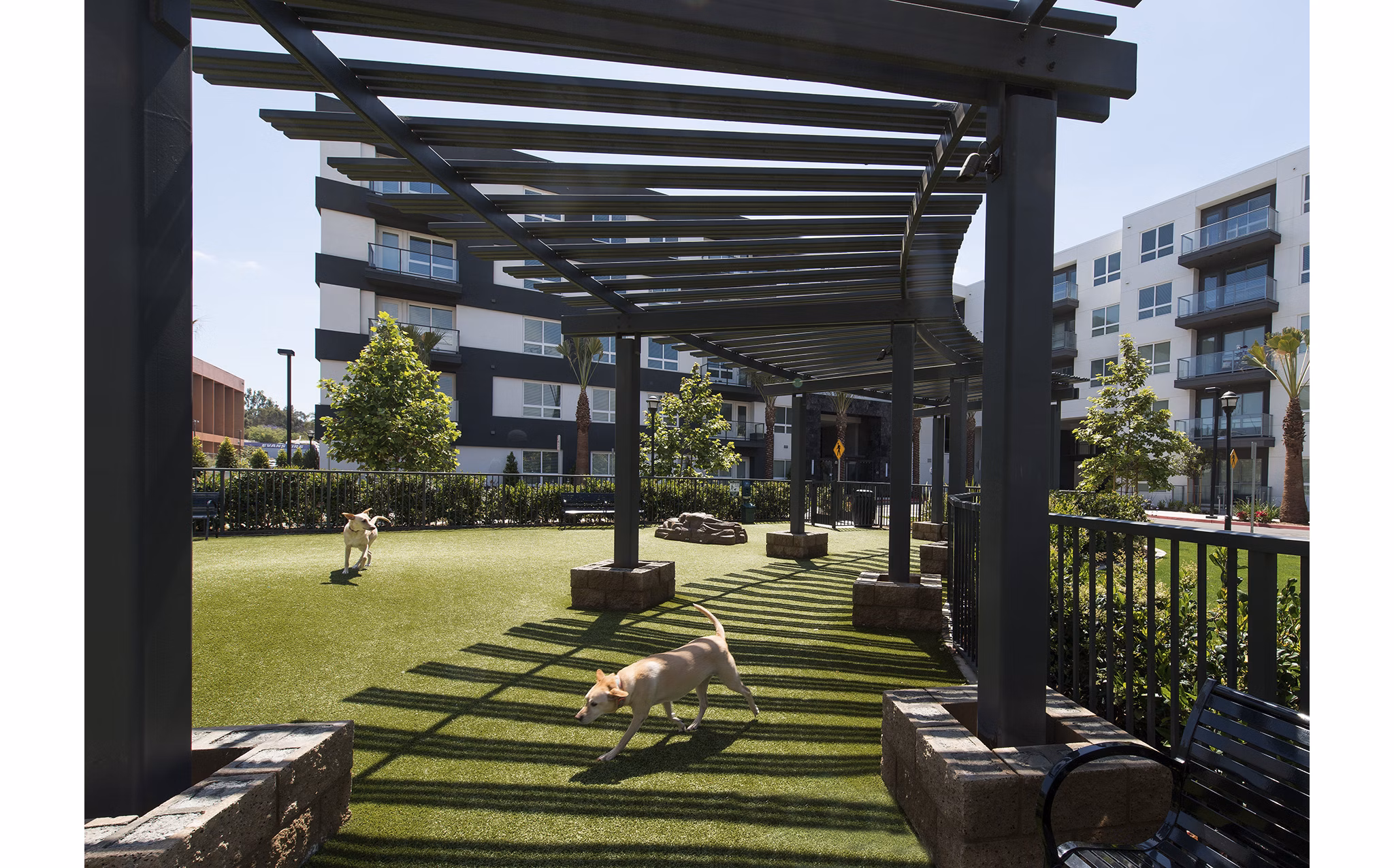 Dog-friendly play area with agility equipment at Vora Mission Valley West Apartments