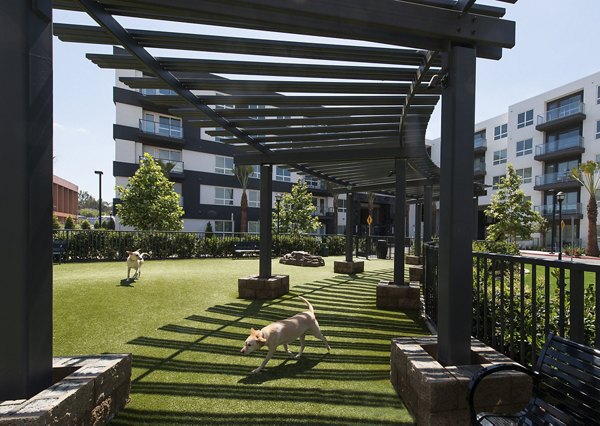 Dog-friendly play area with agility equipment at Vora Mission Valley West Apartments