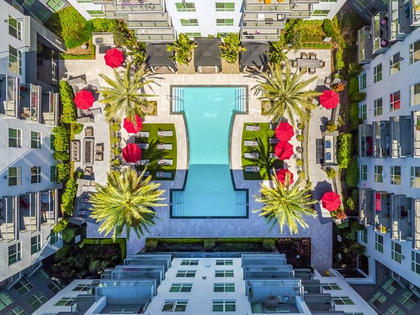 Resort-style pool with palm trees at Vora Mission Valley East Apartments, perfect for relaxation and leisure