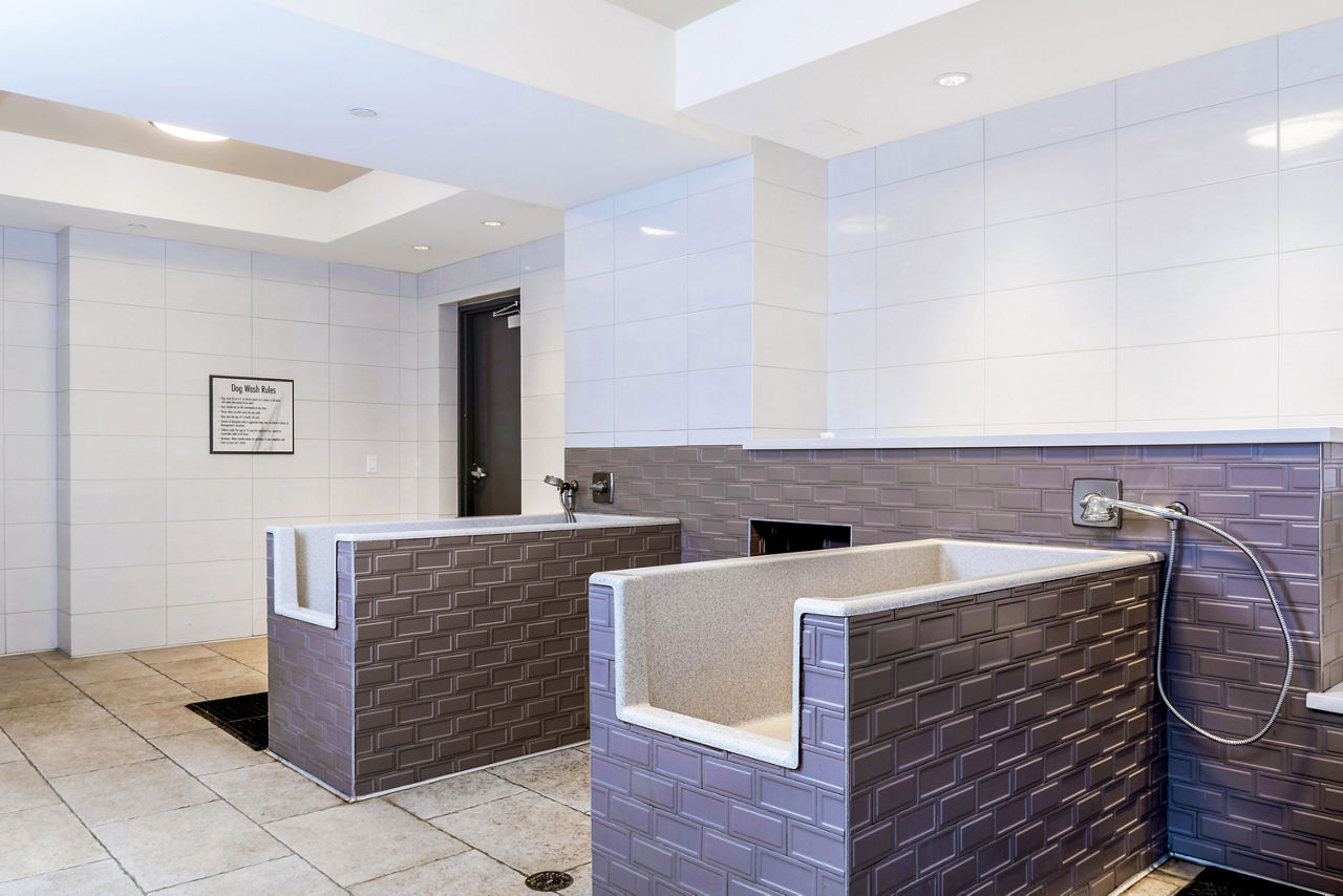 Pet wash at Vora Mission Valley