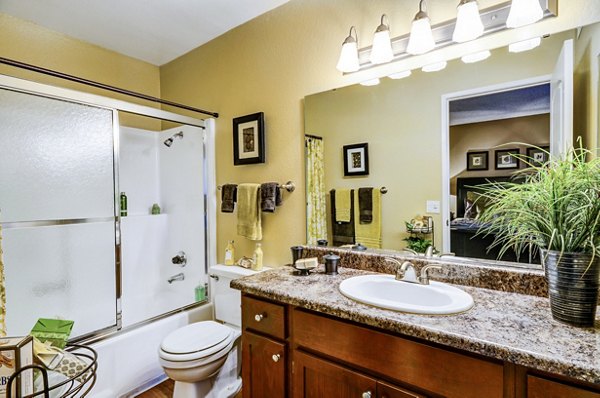 Modern bathroom with elegant fixtures at Shadowridge Woodbend Apartments