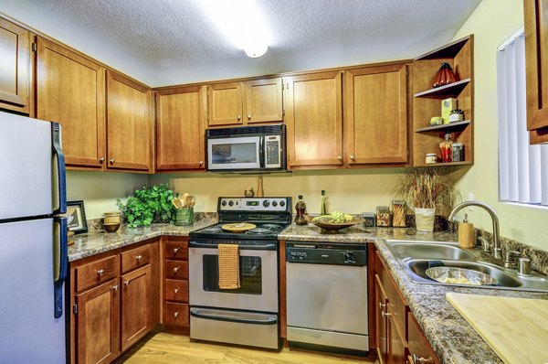 Modern kitchen featuring granite countertops and stainless steel appliances in Shadowridge Woodbend Apartments