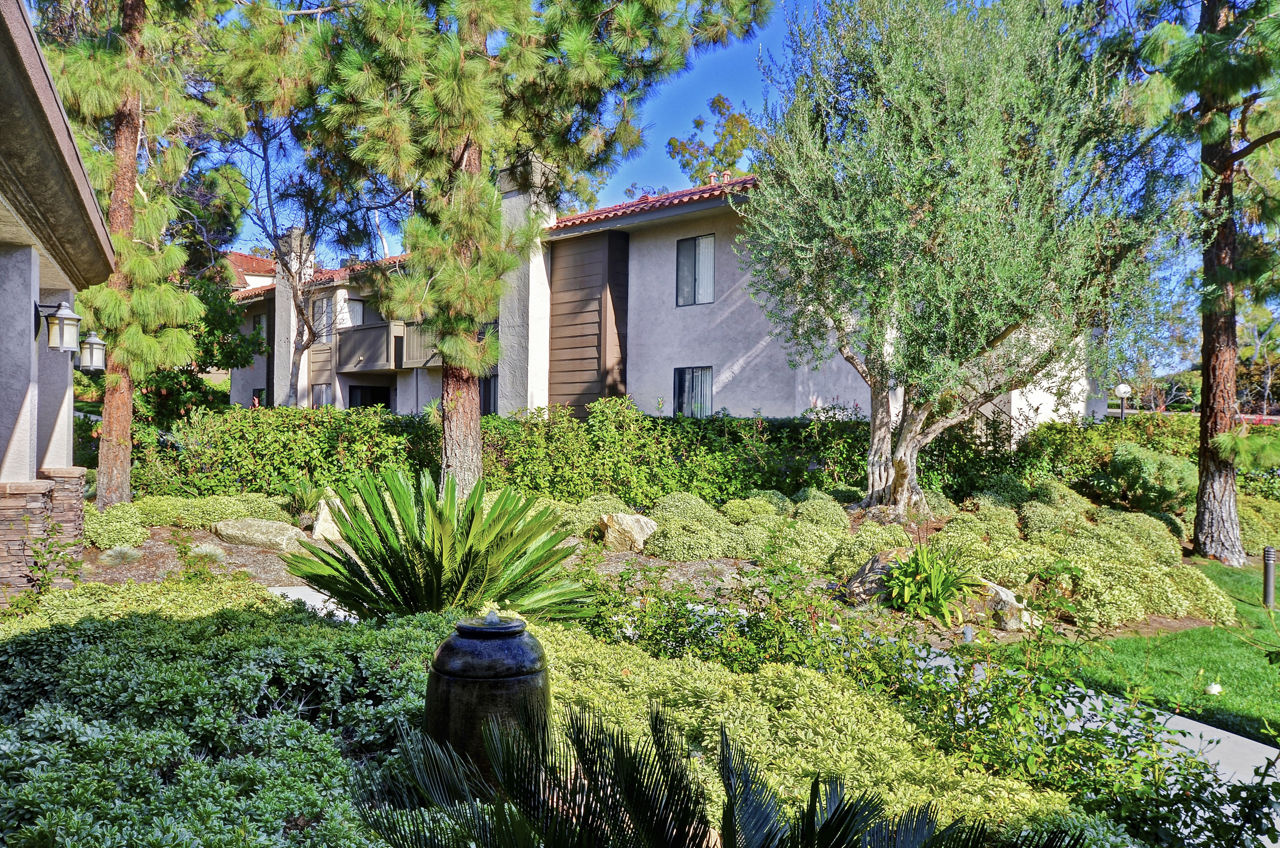 Shadowridge Woodbend Vista Ca 16 of 25
