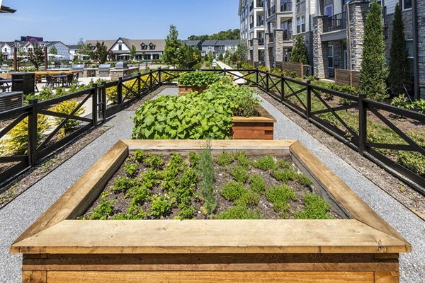 Garden at NOVEL Harpeth Heights: Lush green space with seating areas at luxury Crescent Communities apartment in Nashville