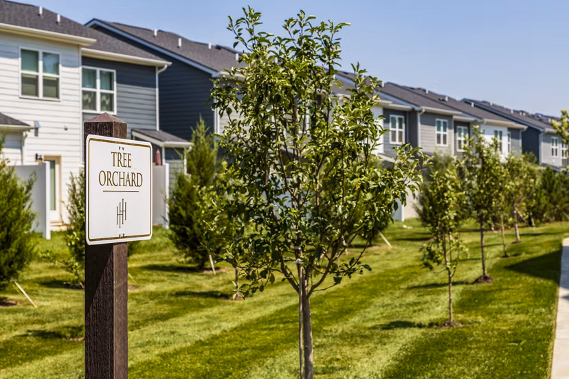Tree orchard at NOVEL Harpeth Heights by Crescent Communities: Charming landscape view at luxury Greystar apartments in the scenic setting