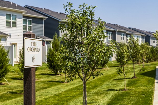 tree orchard at NOVEL Harpeth Heights by Crescent Communities Apartments
