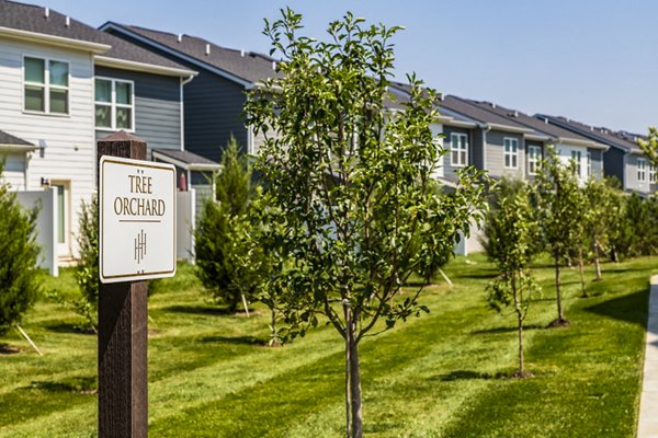 Tree orchard at NOVEL Harpeth Heights by Crescent Communities: Charming landscape view at luxury Greystar apartments in the scenic setting