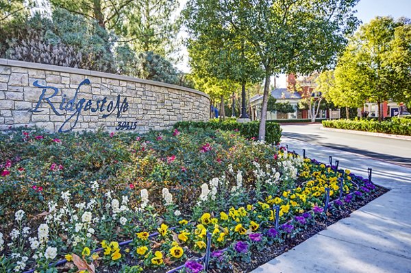 Ridgestone Apartments: Elegant signage at luxury property entrance in scenic neighborhood