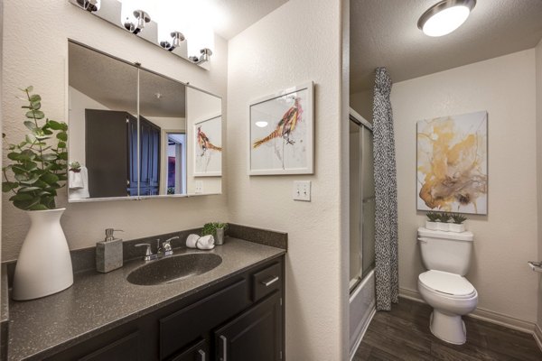 bathroom at Solana Ridge Apartments